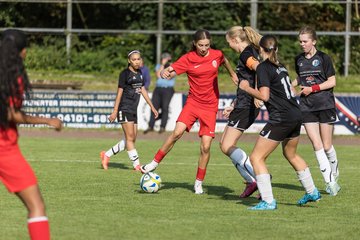 Bild 316 - wCJ VfL Pinneberg - Eimsbuetteler TV : Ergebnis: 0:5